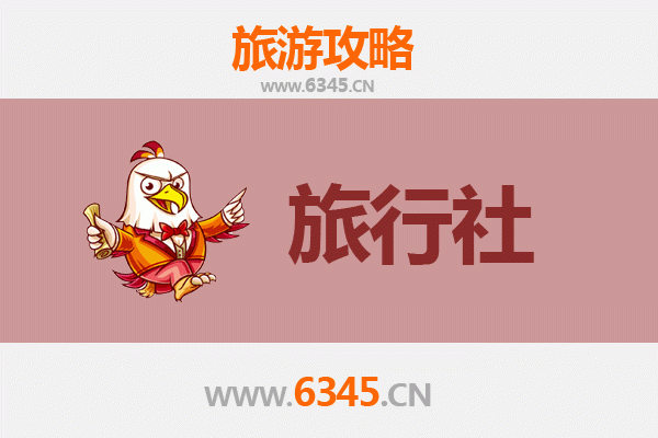 万宁和乐镇本地旅行社推荐：探索海南东海岸的隐藏宝藏
